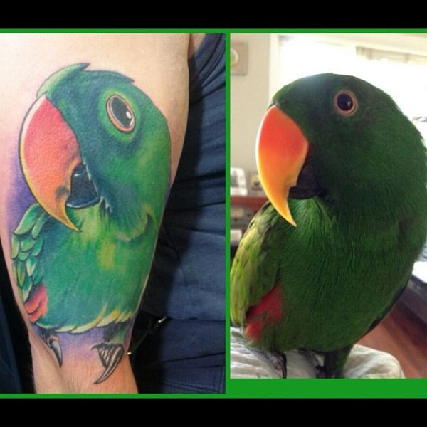 papagei tattoo 377