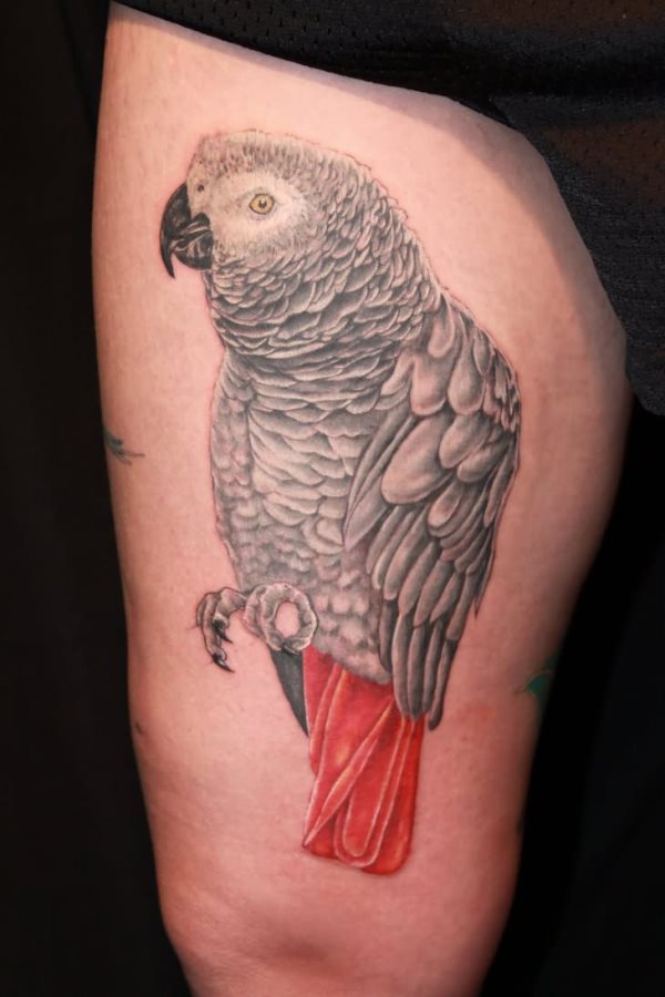 papagei tattoo 59