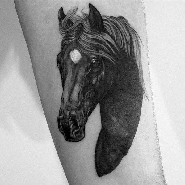 pferd tattoo 161