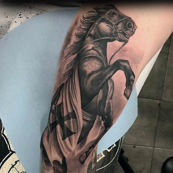 pferd tattoo 218
