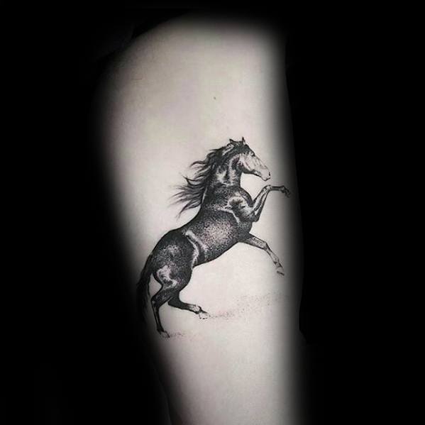 pferd tattoo 224