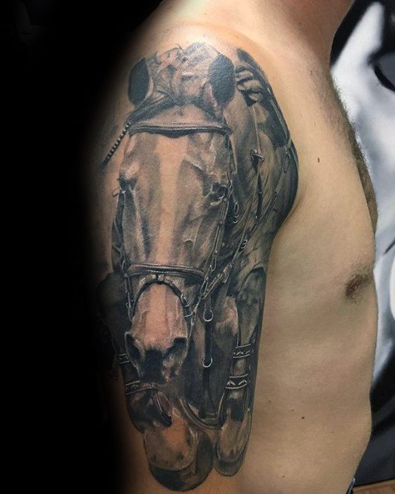 pferd tattoo 260