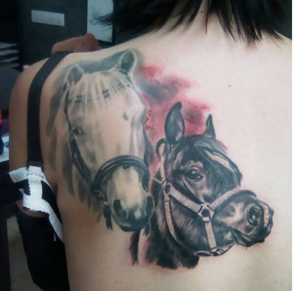 pferd tattoo 323