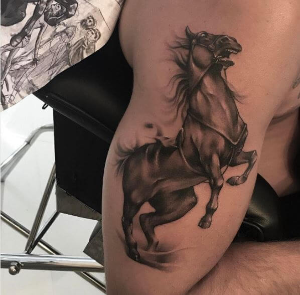 pferd tattoo 350