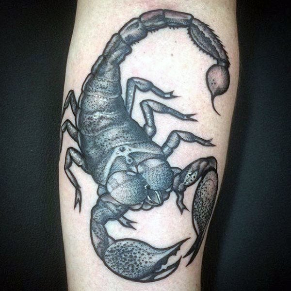skorpion tattoo 188