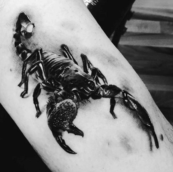 skorpion tattoo 209