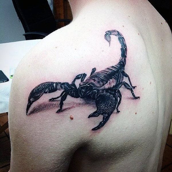 skorpion tattoo 221