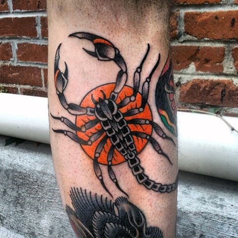 skorpion tattoo 224