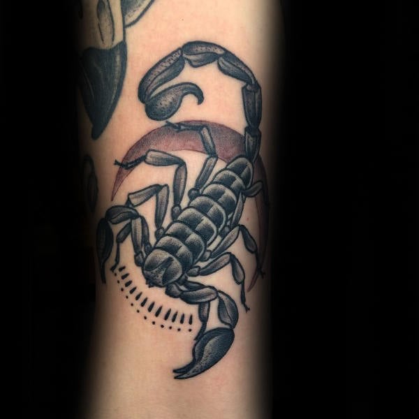skorpion tattoo 236