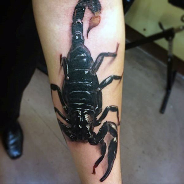 skorpion tattoo 251