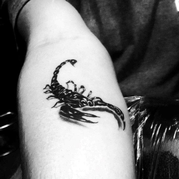 skorpion tattoo 272