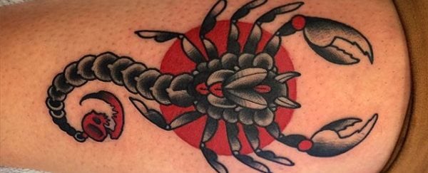 skorpion tattoo 350
