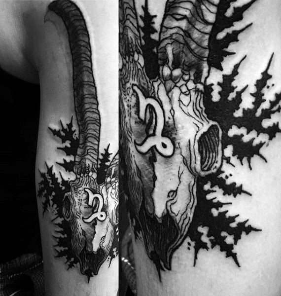 steinbock tattoo 67