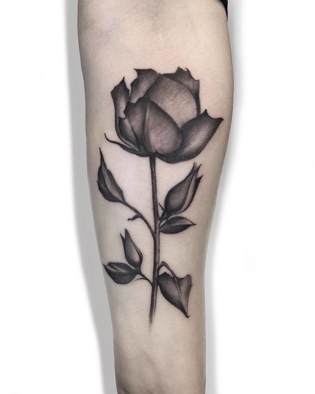rose tattoo 135