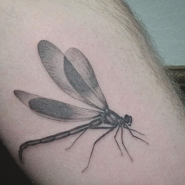 libelle tattoo 131