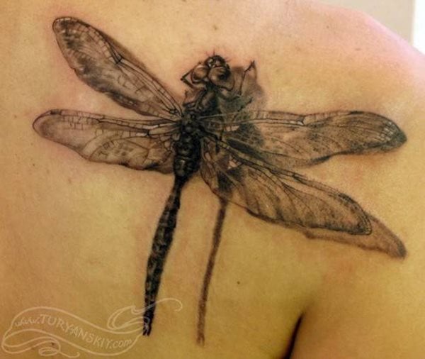 libelle tattoo 344