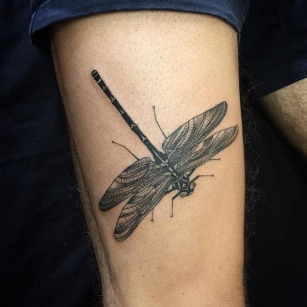 libelle tattoo 425