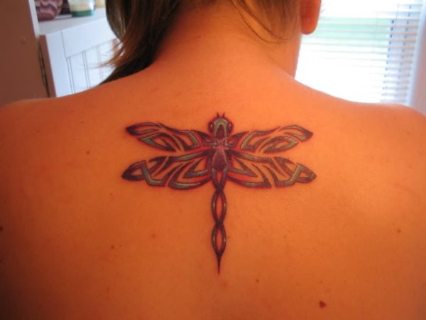 libelle tattoo 491