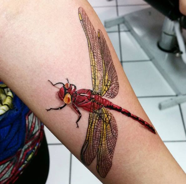 libelle tattoo 536