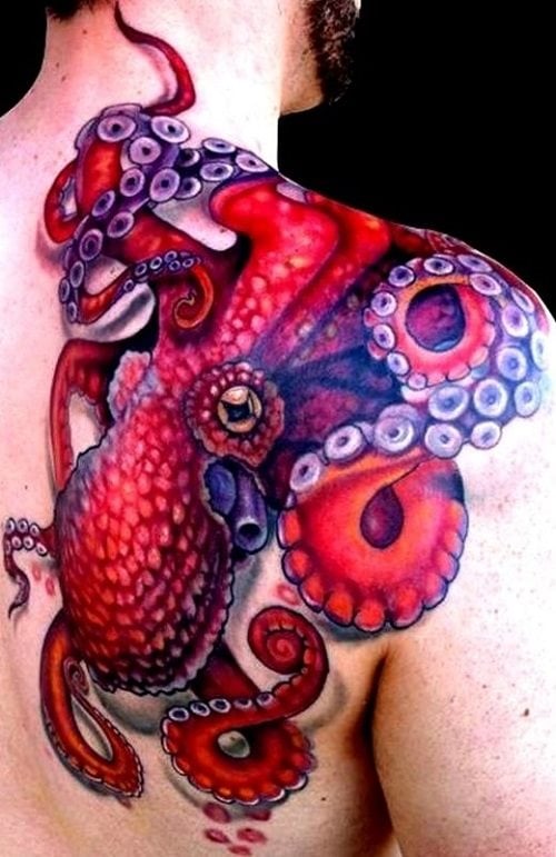 krake tintenfische tattoo 332