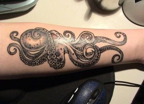 krake tintenfische tattoo 395