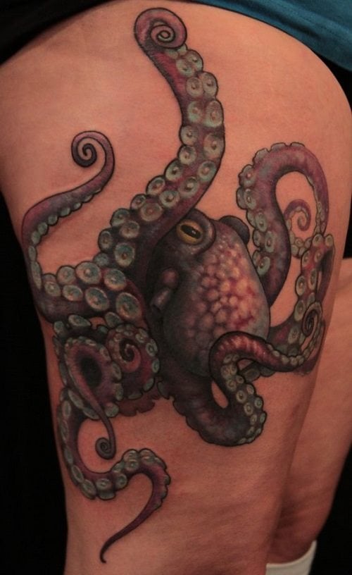 krake tintenfische tattoo 431