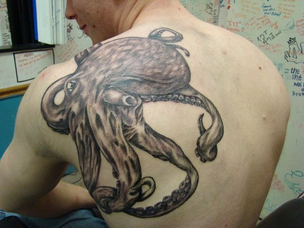 krake tintenfische tattoo 71