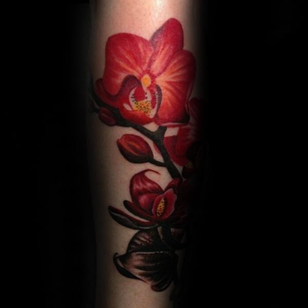 orchidee tattoo 103