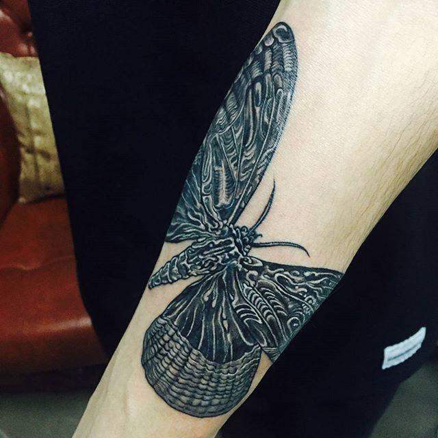 butterfly tattoo 135