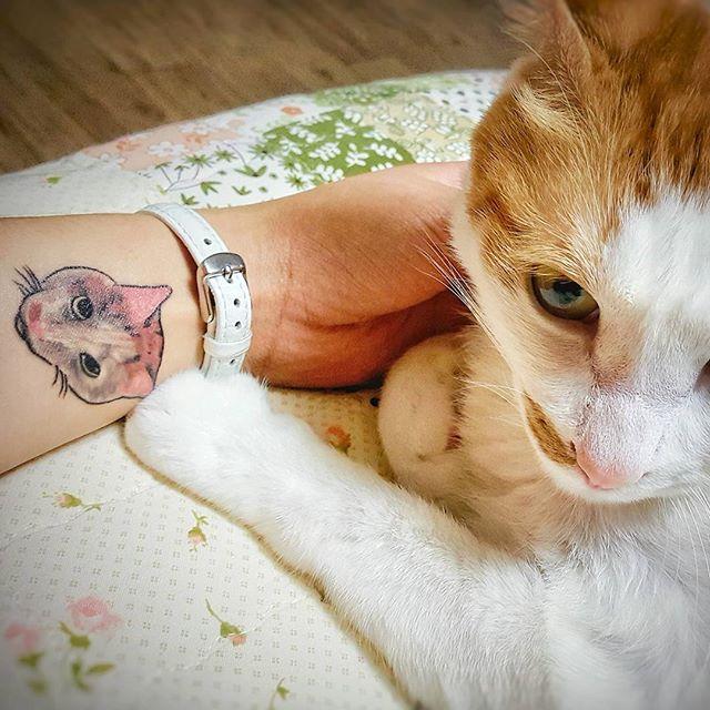cat tattoo 81
