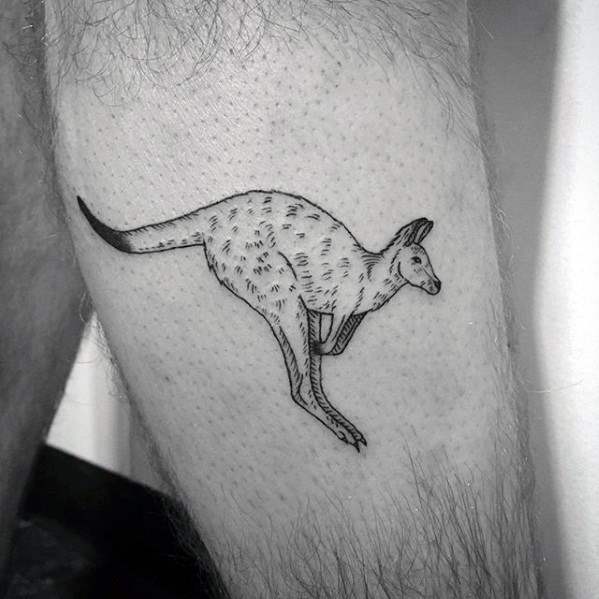 47 Tatuajes de canguros (Con el significado)