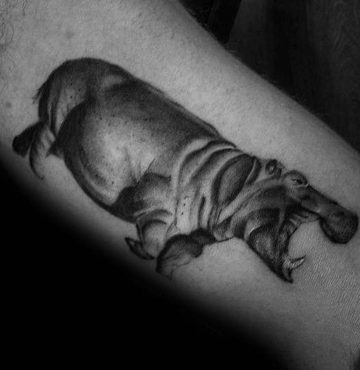 tatuaje hipopotamo 68