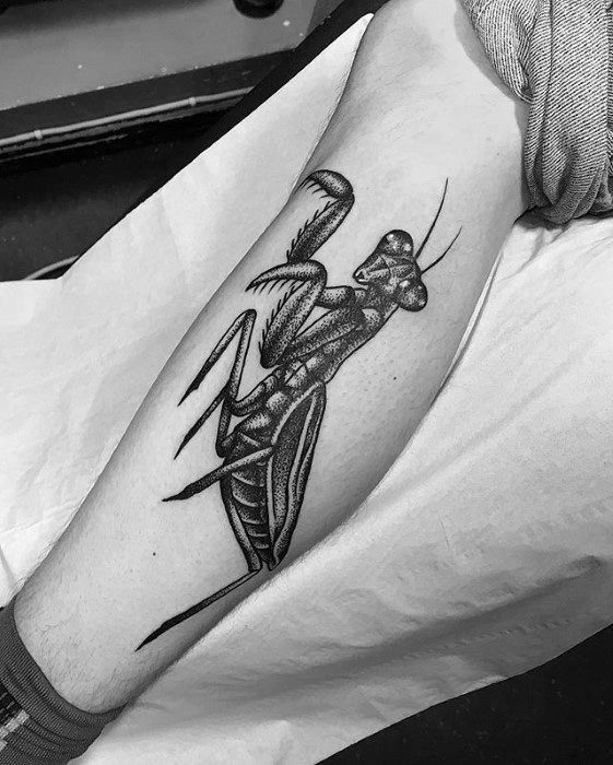tatuaje mantis religiosa 08