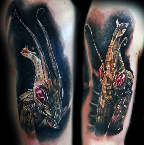 tatuaje mantis religiosa 14