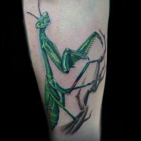 tatuaje mantis religiosa 24