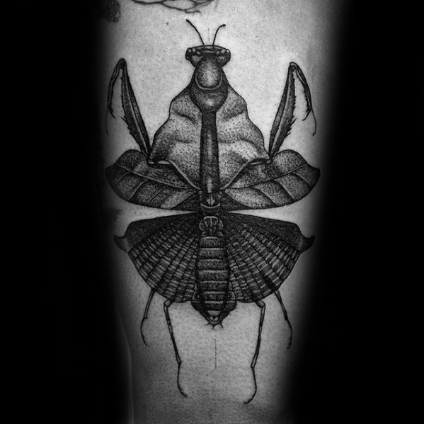 tatuaje mantis religiosa 36
