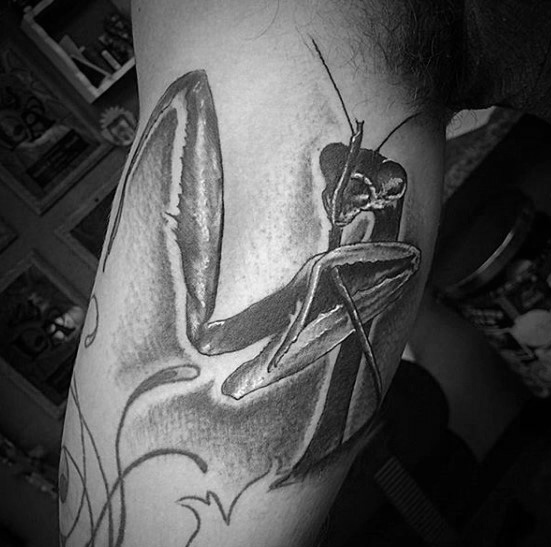 tatuaje mantis religiosa 40
