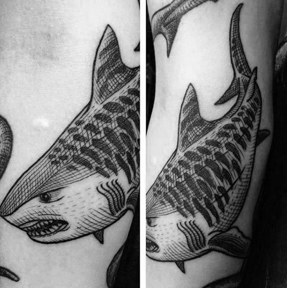 tatuaje tiburon tigre 02