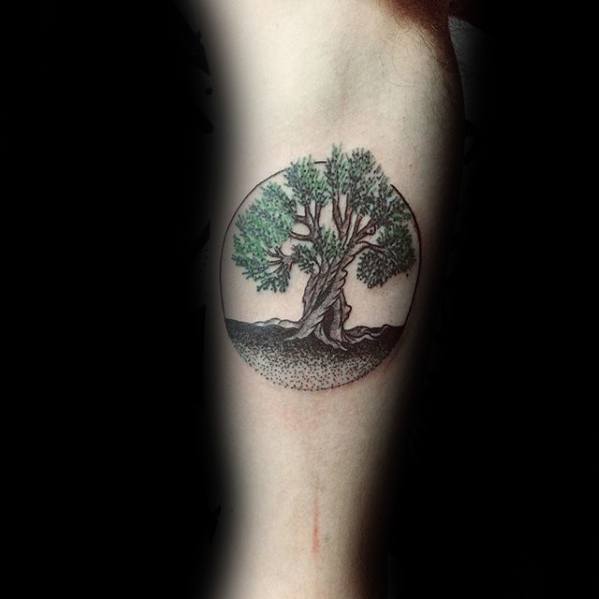 30 Tatuajes del olivo, el árbol (con el significado)