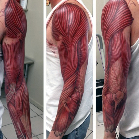 tatuaje musculos tendones 273