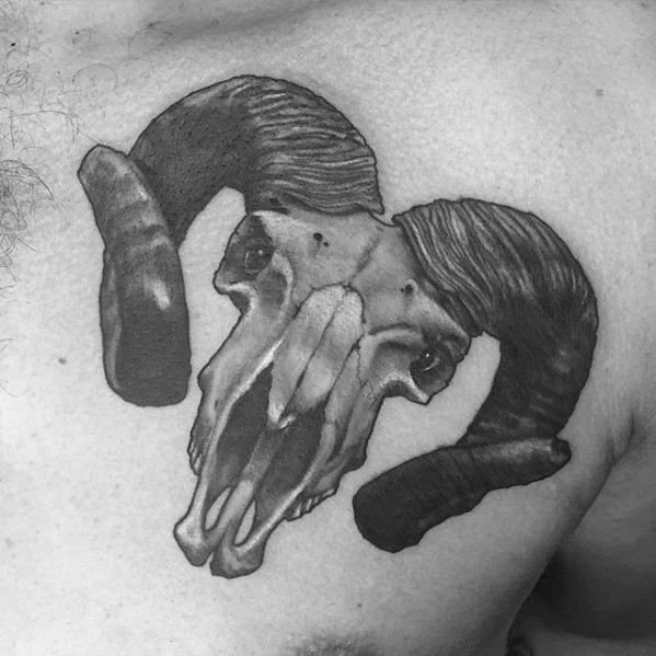 tatuaje calavera animal 82