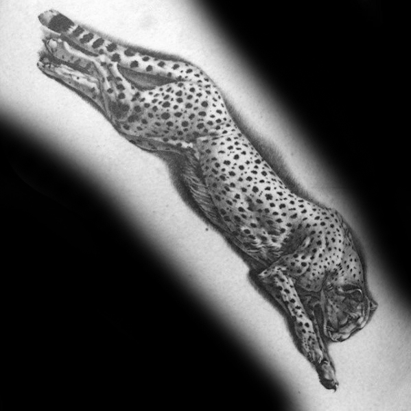tatuaje guepardo 24