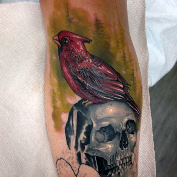 tatuaje pajaro cardenal 05