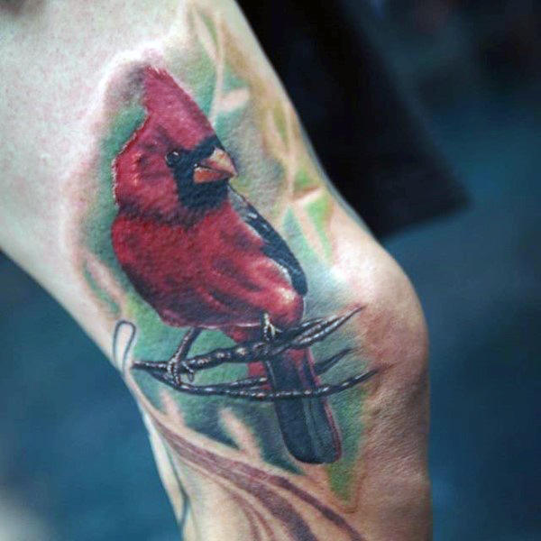tatuaje pajaro cardenal 55