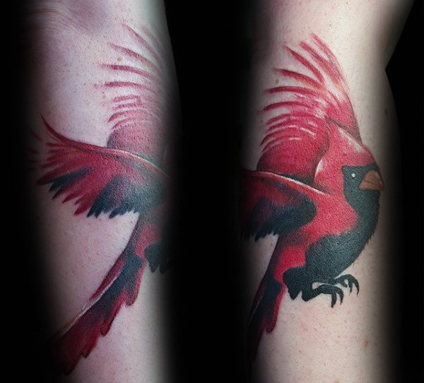tatuaje pajaro cardenal 97