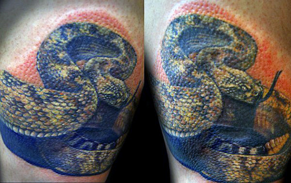 tatuaje serpiente cascabel 35