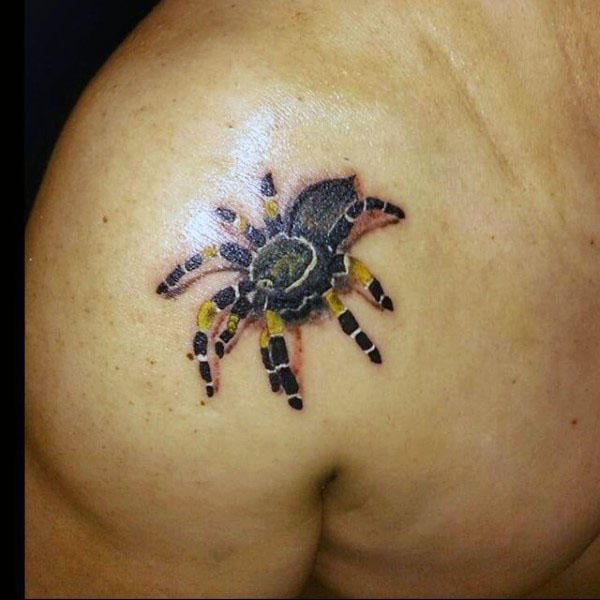 tatuaje tarantula 103