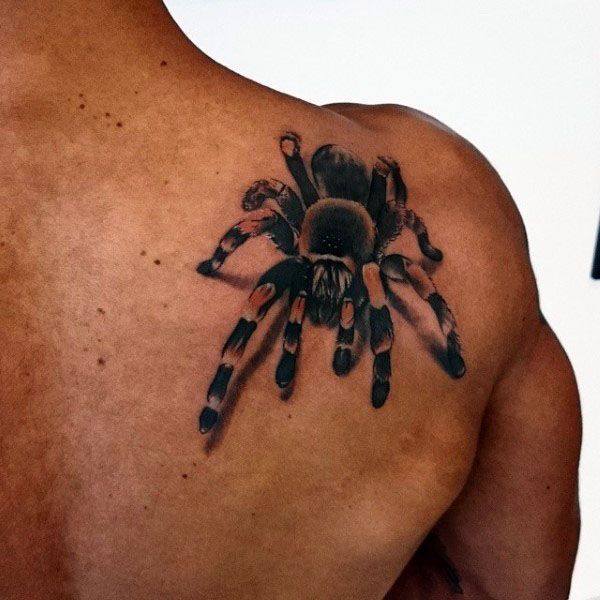 tatuaje tarantula 73