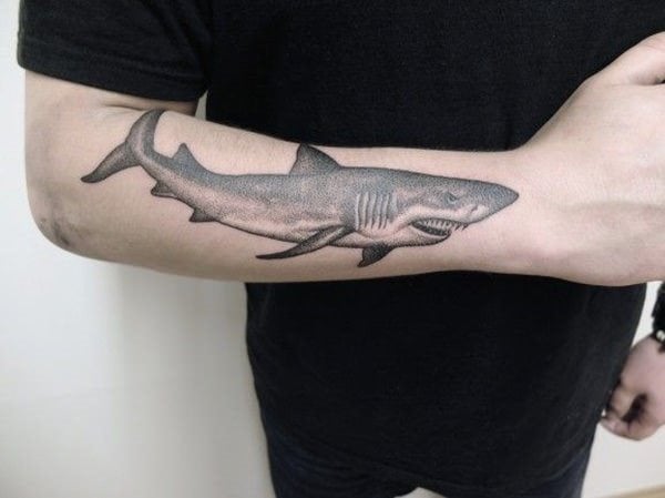 tatuaje tiburon 119
