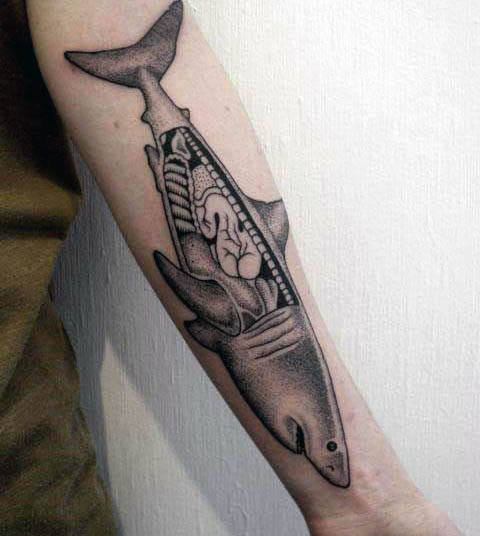 tatuaje tiburon 170